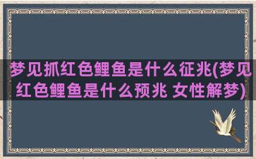 梦见抓红色鲤鱼是什么征兆(梦见红色鲤鱼是什么预兆 女性解梦)